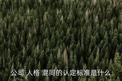 公司 人格 混同的認(rèn)定標(biāo)準(zhǔn)是什么