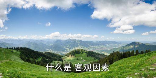 什么是 客觀因素