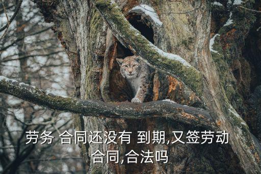 勞務(wù) 合同還沒有 到期,又簽勞動 合同,合法嗎