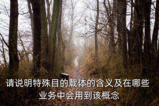 請說明特殊目的載體的含義及在哪些 業(yè)務中會用到該概念