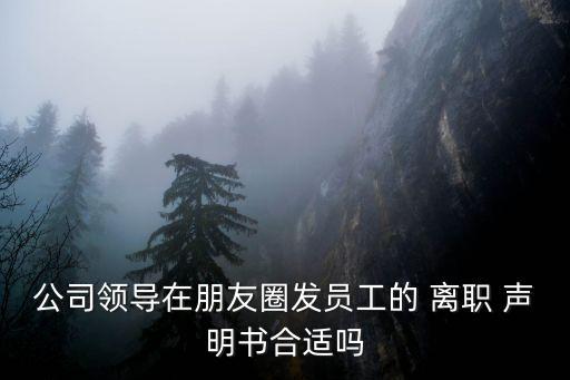 公司領(lǐng)導(dǎo)在朋友圈發(fā)員工的 離職 聲明書(shū)合適嗎