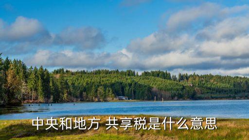 共享稅