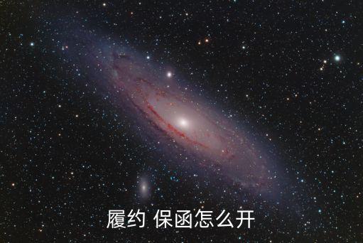履約 保函怎么開