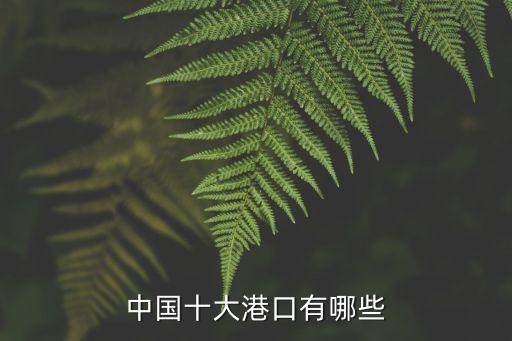 肇慶港