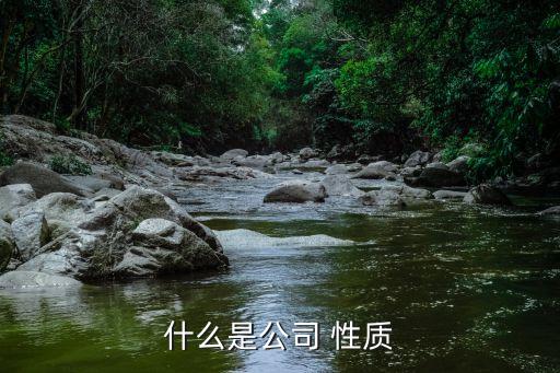 企業(yè)的性質(zhì),個人獨資企業(yè)的性質(zhì)