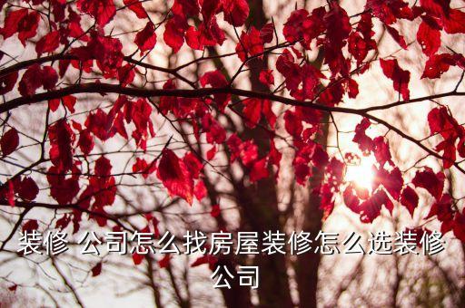 找公司