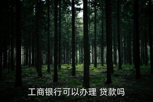 工商銀行可以辦理 貸款嗎