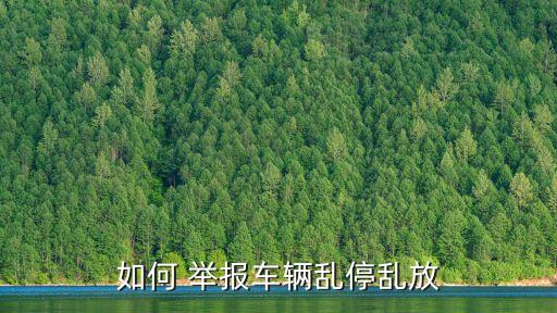 違規(guī)停車怎么舉報,消防通道違規(guī)停車怎么舉報