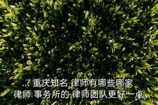 ... 重慶知名 律師有哪些哪家 律師 事務(wù)所的 律師團(tuán)隊(duì)更好一點(diǎn)