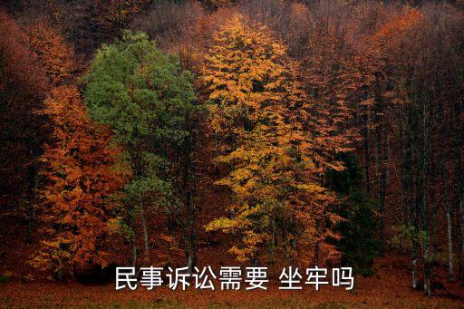  民事訴訟需要 坐牢嗎