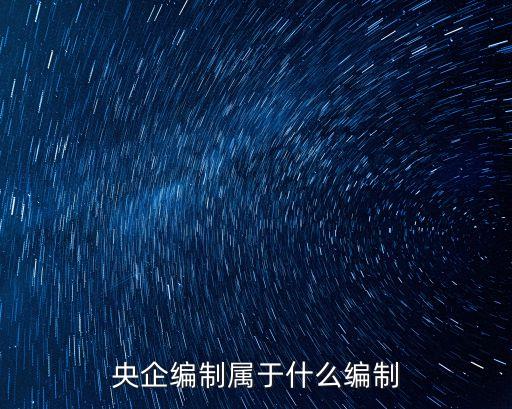 央企編制屬于什么編制
