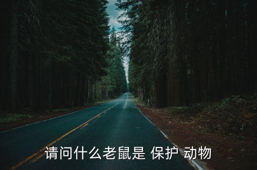 竹鼠是保護動物嗎,捕鼠器哪種效果最好
