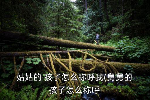 姑姑的孩子