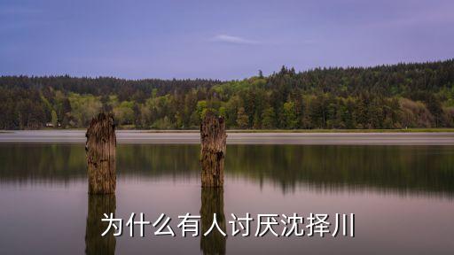 沈衛(wèi)