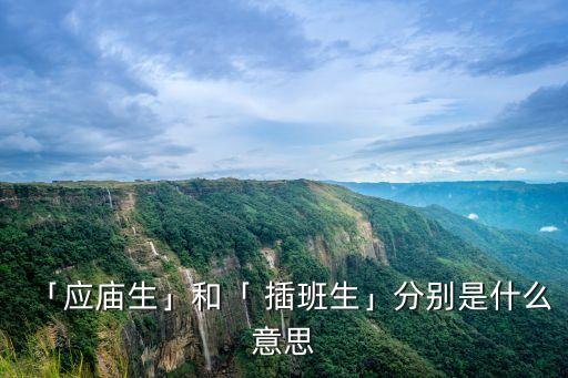 「應(yīng)廟生」和「 插班生」分別是什么意思