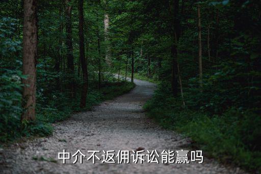 協(xié)議書打官司管用嗎擁金,有第三方見證人的協(xié)議書打官司管用嗎
