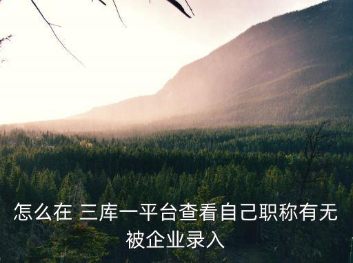 怎么在 三庫一平臺查看自己職稱有無被企業(yè)錄入