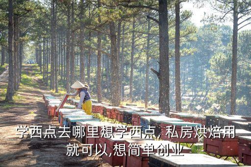 學(xué)西點(diǎn)去哪里想學(xué)西點(diǎn), 私房烘焙用就可以,想簡(jiǎn)單創(chuàng)業(yè)
