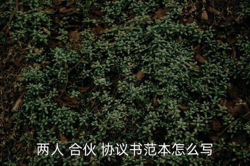 兩人 合伙 協(xié)議書范本怎么寫