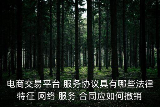 網(wǎng)絡(luò)服務(wù)合同