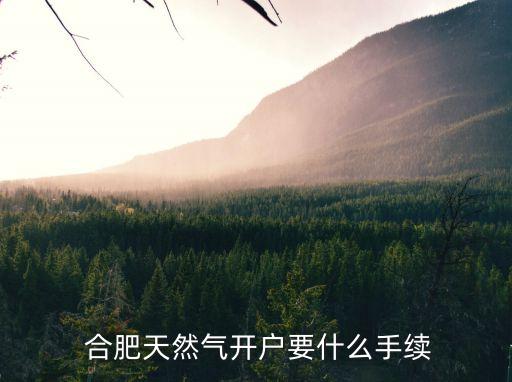  合肥天然氣開(kāi)戶要什么手續(xù)