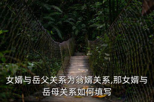 女婿與岳父關(guān)系為翁婿關(guān)系,那女婿與岳母關(guān)系如何填寫