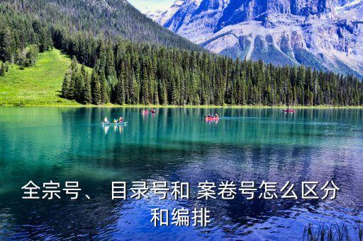 全宗號(hào)、 目錄號(hào)和 案卷號(hào)怎么區(qū)分和編排