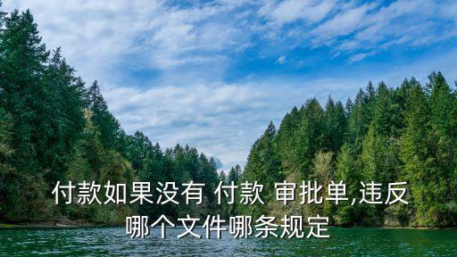  付款如果沒有 付款 審批單,違反哪個(gè)文件哪條規(guī)定