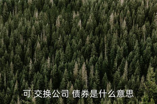 可 交換公司 債券是什么意思