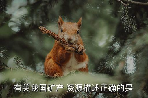 有關(guān)我國礦產(chǎn) 資源描述正確的是