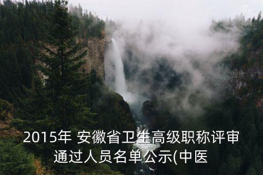 2015年 安徽省衛(wèi)生高級(jí)職稱評(píng)審?fù)ㄟ^(guò)人員名單公示(中醫(yī)