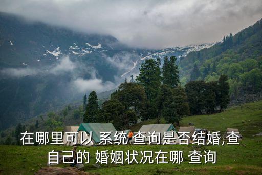 婚姻信息查詢系統(tǒng),身份證號(hào)一鍵查詢婚姻
