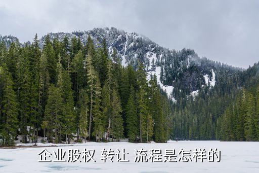 股份轉(zhuǎn)讓流程,非上市股份有限公司股份轉(zhuǎn)讓流程