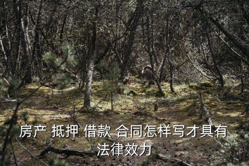 房屋抵押借款合同,個人房屋抵押借款合同