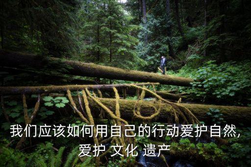 我們應(yīng)該如何用自己的行動愛護自然,愛護 文化 遺產(chǎn)