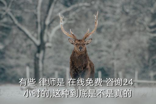 有些 律師是 在線(xiàn)免費(fèi) 咨詢(xún)24 小時(shí)的,這種到底是不是真的