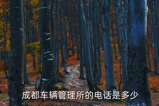  成都車(chē)輛管理所的電話(huà)是多少