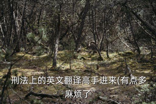  刑法上的英文翻譯高手進(jìn)來(有點(diǎn)多麻煩了