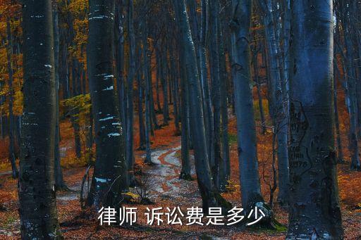  律師 訴訟費(fèi)是多少