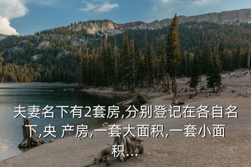 夫妻名下有2套房,分別登記在各自名下,央 產(chǎn)房,一套大面積,一套小面積...