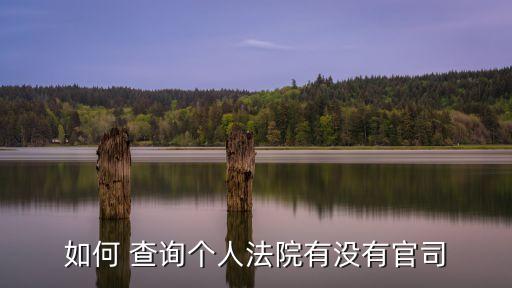 全國民事訴訟案件網(wǎng)上查詢
