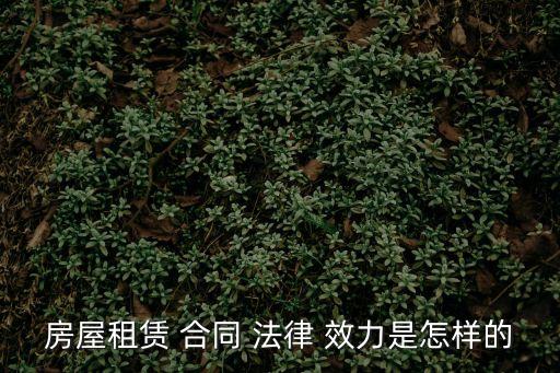 租房合同有哪些法律效力