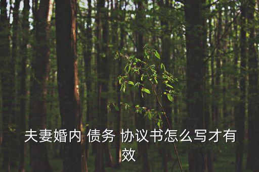  夫妻婚內(nèi) 債務(wù) 協(xié)議書怎么寫才有效