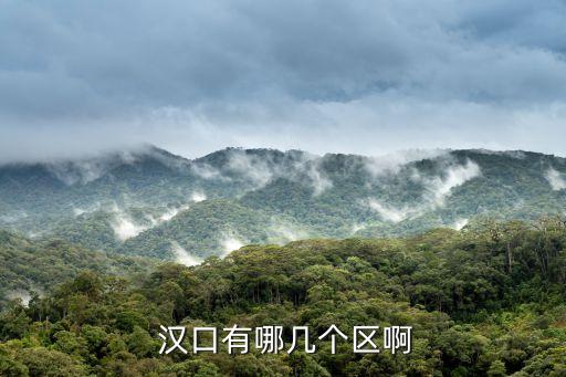  漢口有哪幾個區(qū)啊