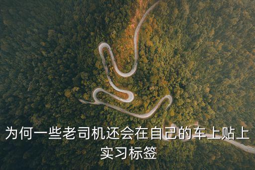 為何一些老司機(jī)還會(huì)在自己的車上貼上 實(shí)習(xí)標(biāo)簽