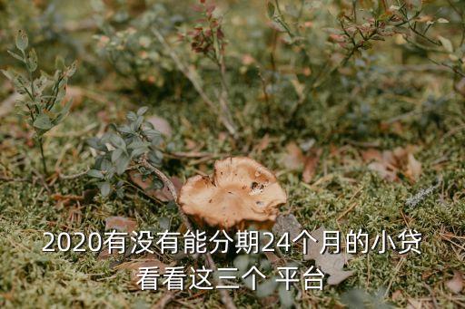 分24期利息低的正規(guī)貸款平臺(tái),借款app良心排名