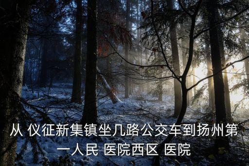 從 儀征新集鎮(zhèn)坐幾路公交車到揚州第一人民 醫(yī)院西區(qū) 醫(yī)院
