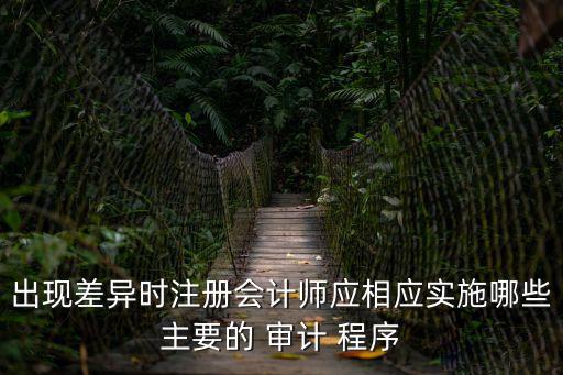 進一步審計程序