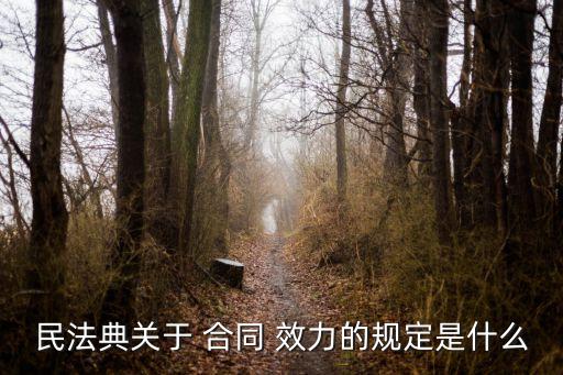 民法典關(guān)于 合同 效力的規(guī)定是什么