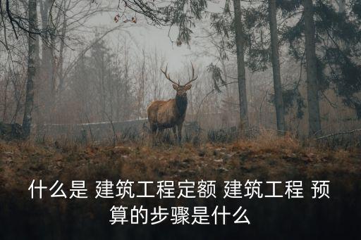 什么是 建筑工程定額 建筑工程 預(yù)算的步驟是什么